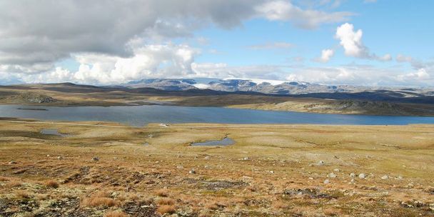 Płaskowyż Hardangervidda w Norwegii - Zdjęcie, obraz