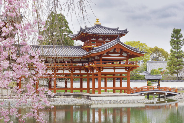 Árbol de sakura floreciente en el templo budista Byodo-in en Uji, Kyoto, Japón - Foto, imagen