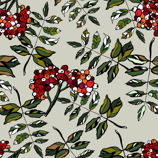 Hand drawn realistic rowan tree leaves and berries seamless background. Floral botanical endless texture. Ashberry pattern. Green and red. F - Fotoğraf, Görsel
