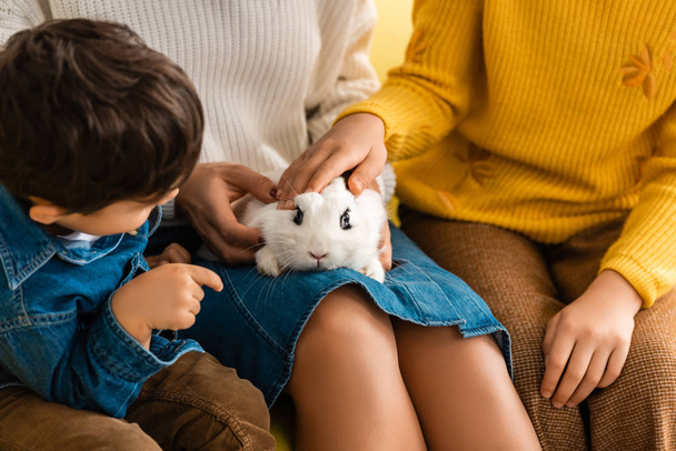 白い面白いウサギに触れる子供を持つ女性のクロップドビュー - 写真・画像