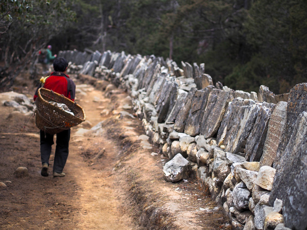 Шерпа Портер идет по тропе рядом с тибетскими камнями Мани
 - Фото, изображение