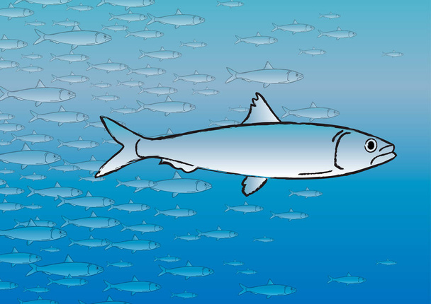 Сардинский банк рыбы на водном фоне, векторная иллюстрация
 - Вектор,изображение