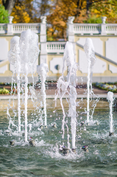 paar fonteinen in het stadspark - Foto, afbeelding