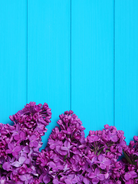  Lilac flowers on blue wooden background.  - 写真・画像
