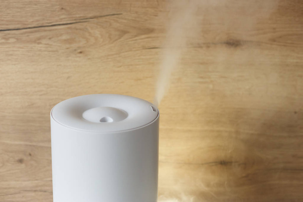 Umidificatore che diffonde vapore nel soggiorno - Foto, immagini