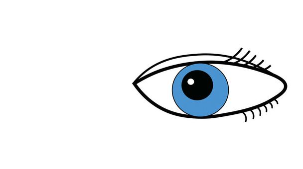 Olho azul do homem aberto. Contornos do olho. No fundo branco
 - Foto, Imagem