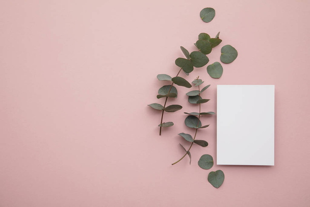 Blank white invitation stationery card with eucalyptus leaves. - Foto, Imagem