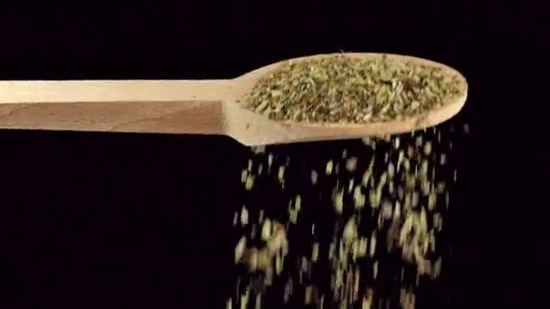 Una cucharada de hierba de orégano. Especias e ingredientes alimentarios. cámara lenta
 - Metraje, vídeo