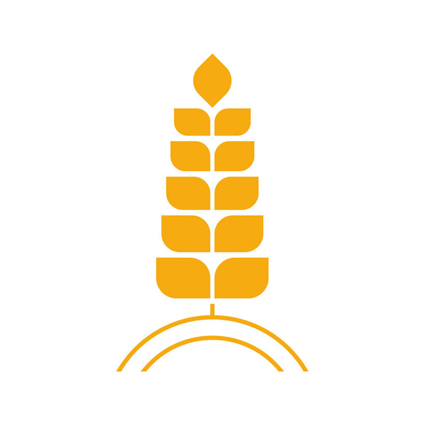 Modèle de logo de blé agricole vecteur, concept de logo de blé de luxe, icône symbole
 - Vecteur, image