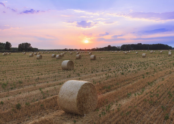 Тюків сіна на заході сонця в Угорщині - Фото, зображення