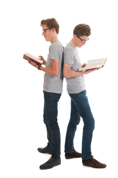 Twins reading books - Fotografie, Obrázek