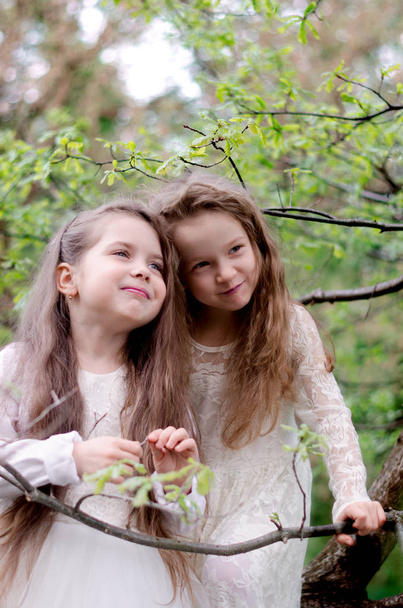 Две прелестные шестилетние девочки в белом праздничном платье, играют в весеннем парке
. - Фото, изображение