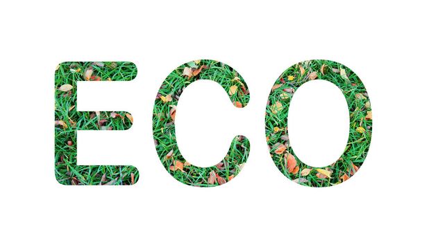 ECO - Текст з текстурою природної трави
 - Фото, зображення