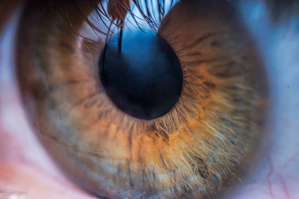 Close-up view on brown human eye. - Foto, afbeelding