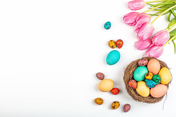 Stylish background with colorful quail, easter eggs with copy space for text. Next lying fresh pink tulip flowers. isolated on white background. Flat lay, top view, mockup, overhead, template - 写真・画像