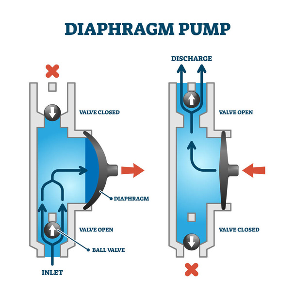 Diyafram ya da membran pompası çalışma süreci diyagramı çizimi örneği - Vektör, Görsel