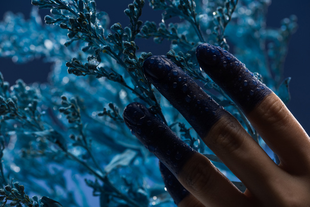 zblízka pohled na ženskou ruku s mokrými malovanými prsty v blízkosti modré rostliny - Fotografie, Obrázek