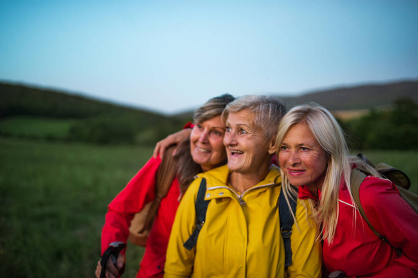 Senior women friends on walk outdoors in nature at dusk. - Photo, image