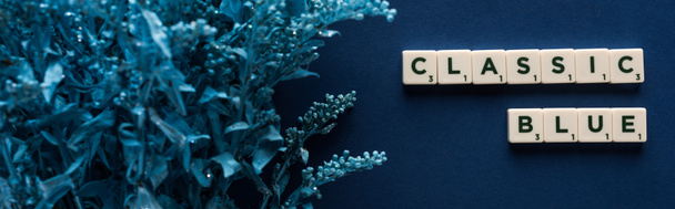 πάνω άποψη του κλασικού μπλε γράμματα σε κύβους κοντά βαμμένο φυτό σε μπλε φόντο, πανοραμική λήψη - Φωτογραφία, εικόνα