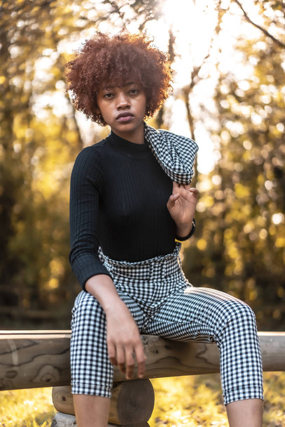 stylish young attractive african american woman sitting on bench in park - Photo, image
