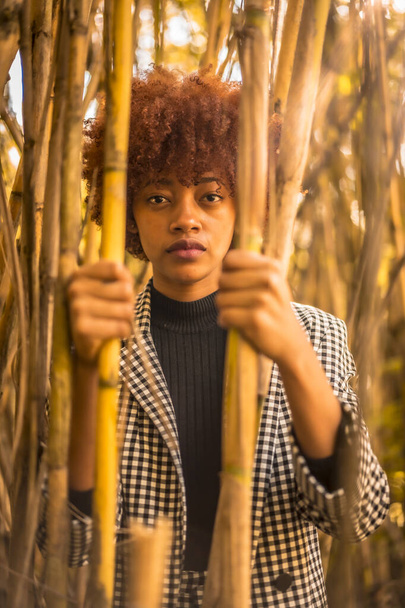junge attraktive afrikanisch-amerikanische Frau versteckt sich in Bambus - Foto, Bild
