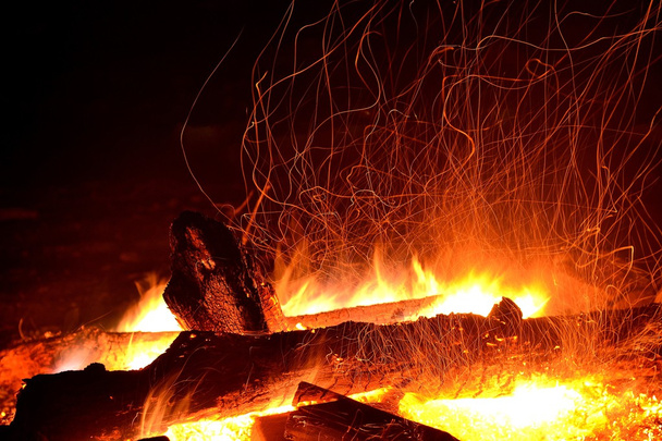 Adirondack Bonfire - Valokuva, kuva