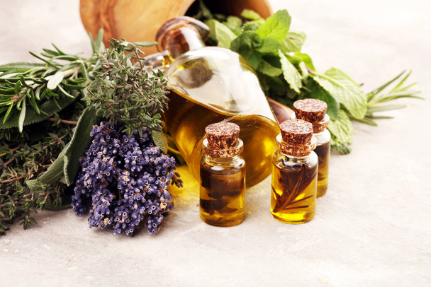Fresh herbs from the garden and the different types of oils for  - Фото, изображение