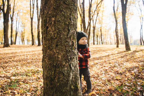 feliz niño jugando en otoño en la naturaleza caminar al aire libre
 - Foto, Imagen