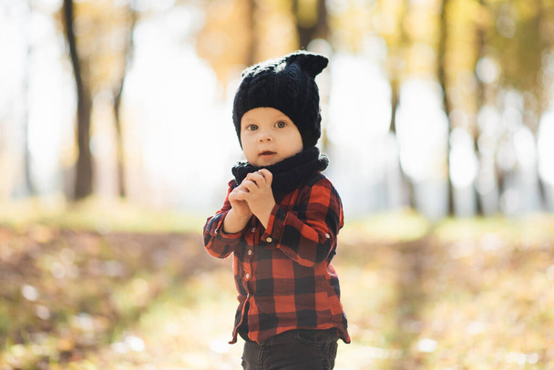happy little baby boy playing in autumn on the nature walk outdoors - Foto, Imagen