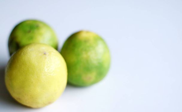 Limão (citrinos) sobre fundo branco
.  - Foto, Imagem