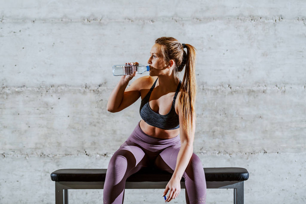 Tired young muscular fit attractive caucasian sportswoman in sportswear with ponytail sitting on the bench in gym and drinking water. - Photo, Image