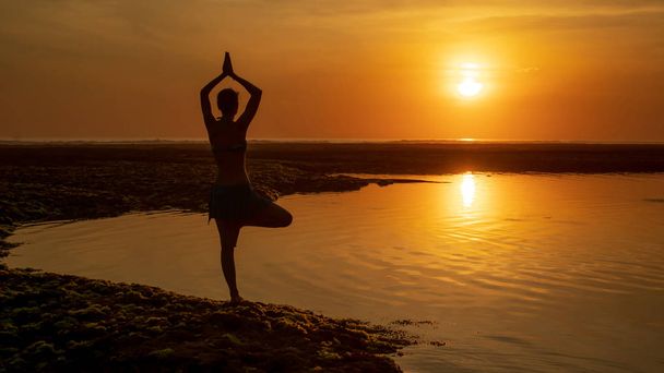 Vrikshasana Asana. Nuori nainen poseeraa rannalla auringonlaskun aikaan. Namaste-mudalla nostetut kädet. Melasti ranta, Bali. Näkymä takaa
. - Valokuva, kuva