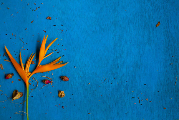 vista de primer plano del té sobre la composición de fondo azul
 - Foto, imagen