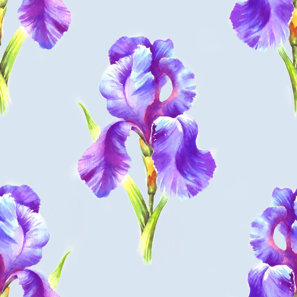 Watercolor hand paint iris flower, seamless pattern for textile, wallpaper, background. - Photo, Image