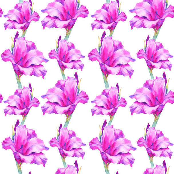 Watercolor pink gladiolus bud, seamless pattern. - Fotó, kép