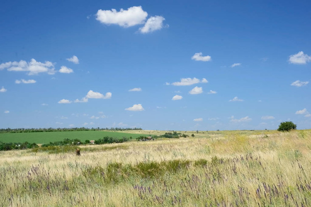 country landscape. Empty field against blue sky with clouds - Φωτογραφία, εικόνα