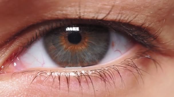 Close-up van een jonge vrouw mooi grijs bruin oog, oogbol. lange zwarte wimpers. - Video