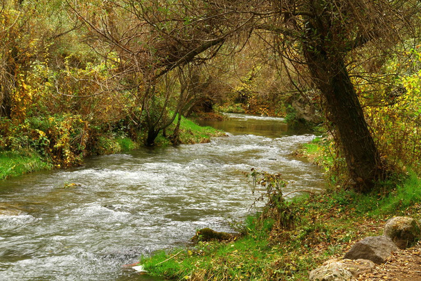 Krásný výhled na řeku Melendiz z údolí Ihlara, v Kappadocii Turecko - Fotografie, Obrázek