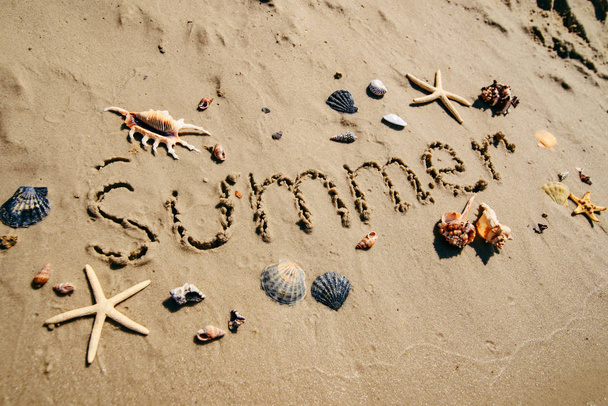 nyári szöveg homokos strand kagylók és tengeri csillag körül - Fotó, kép