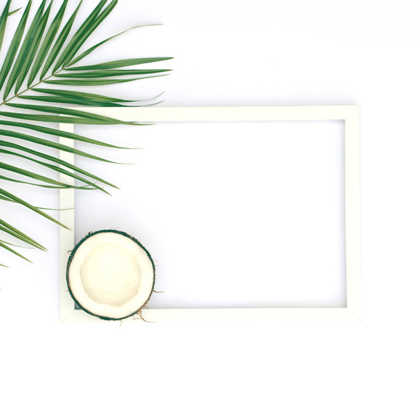 Beautiful background in white with a palm branch and coconut.  - Photo, image
