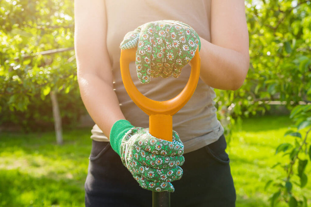 woman with garden gloves holding a spade in the garden on a summer day, concept of gardening and farming agriculture - 写真・画像