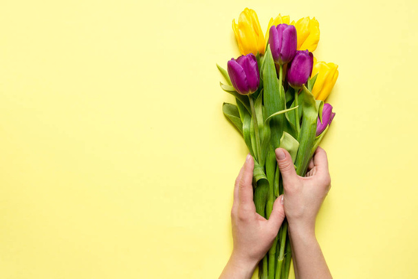 Žluté a fialové květy tulipány v kytici na žlutém pozadí a ruce ženy, slavnostní jarní blahopřání - Fotografie, Obrázek