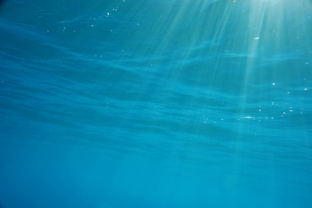 marine theme wallpaper, underwater shot - Foto, Bild