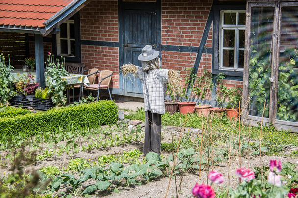 Фермерський будинок з овочевим садом і шрамом
 - Фото, зображення
