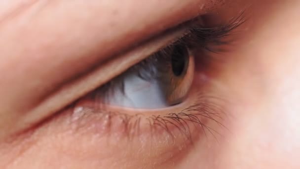 occhio grigio marrone, pupilla di una giovane ragazza macro primo piano. focalizzazione selettiva, macro estrema
 - Filmati, video