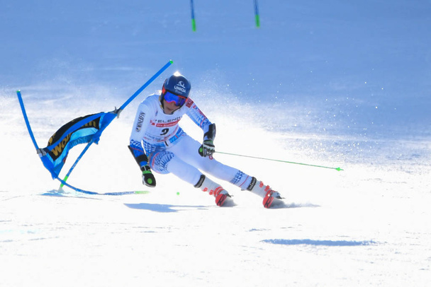 Ski SKI World Cup - Giant Slalom Women - Zdjęcie, obraz