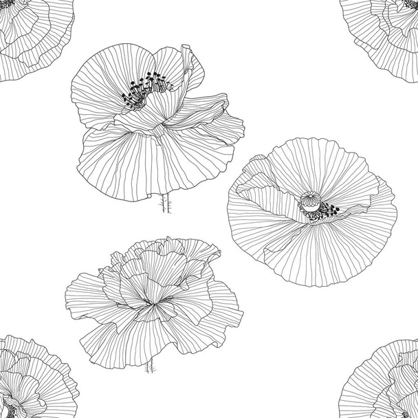 seamless pattern of black and white poppies - Wektor, obraz