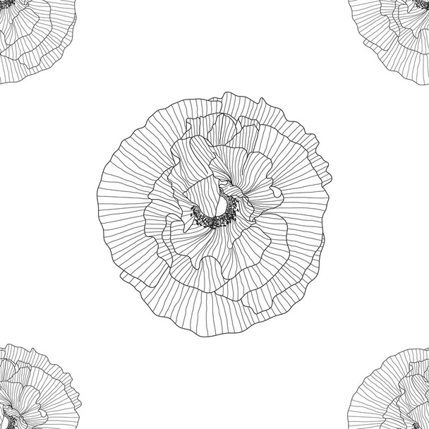 seamless pattern of black and white poppies - Vecteur, image