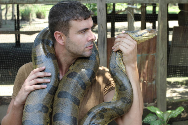 Άνθρωπος που δείχνει στοργή για ένα γιγάντιο φίδι - Φωτογραφία, εικόνα