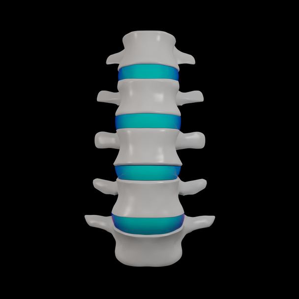 3D рендеринг - структура позвоночника на черном фоне с синим позвоночным диском - вид спереди
 - Фото, изображение